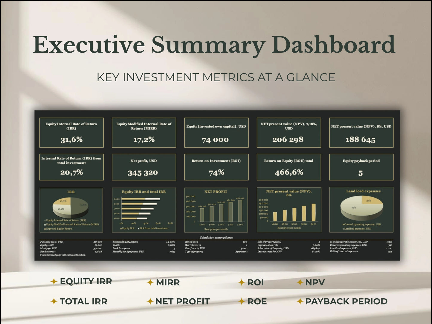 Executive summary dashboard showing IRR ROI and NPV metrics
