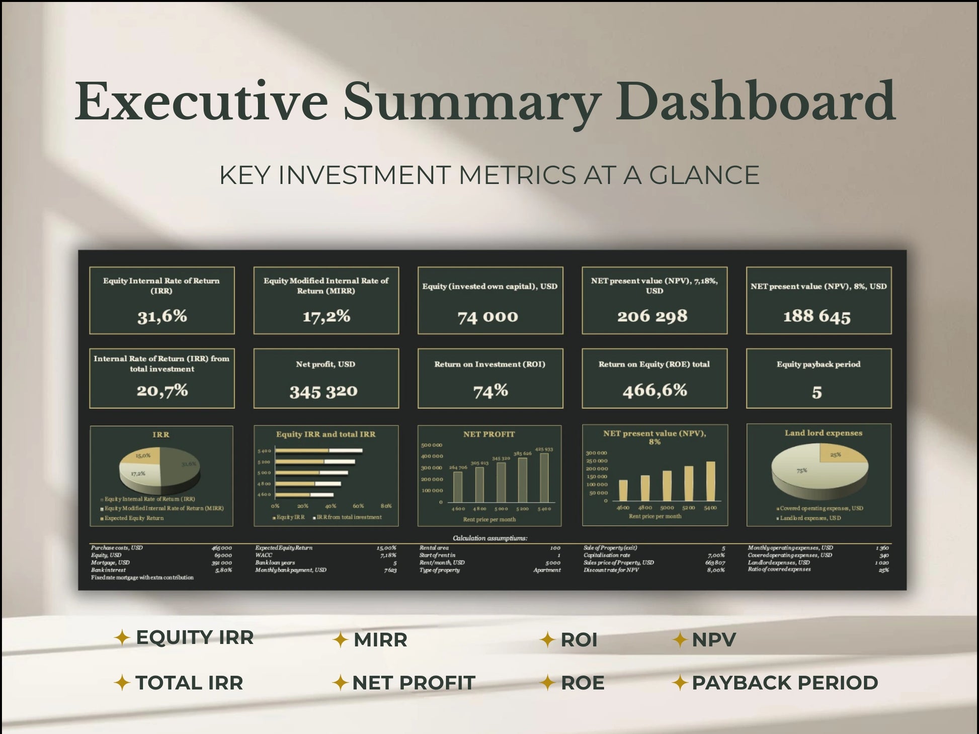 Executive summary dashboard showing IRR ROI and NPV metrics